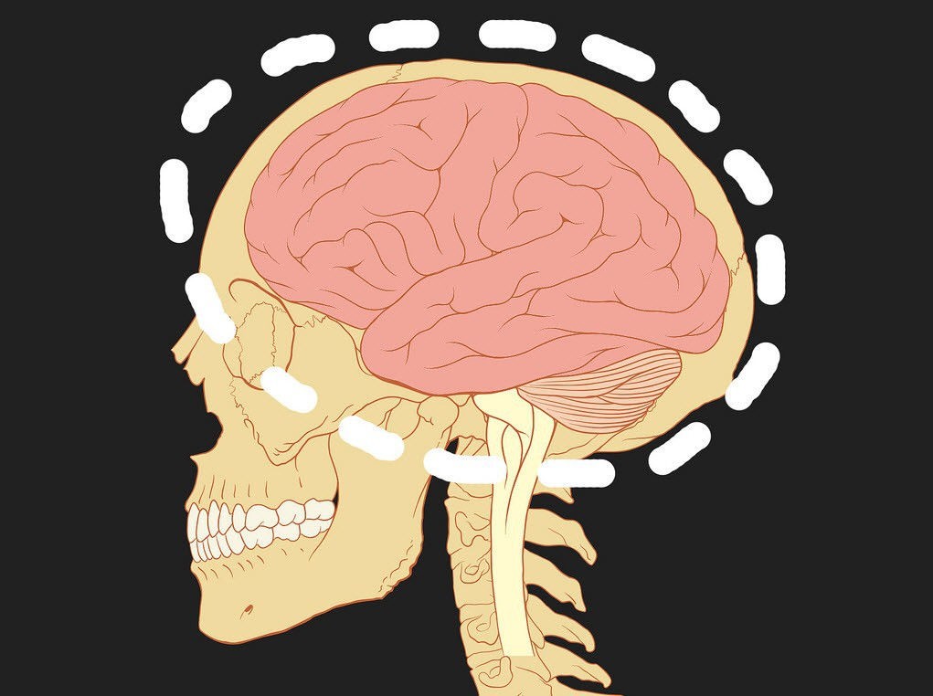 Infographic Your Brain On Sex Kinkly Straight Up Sex Talk With A Twist