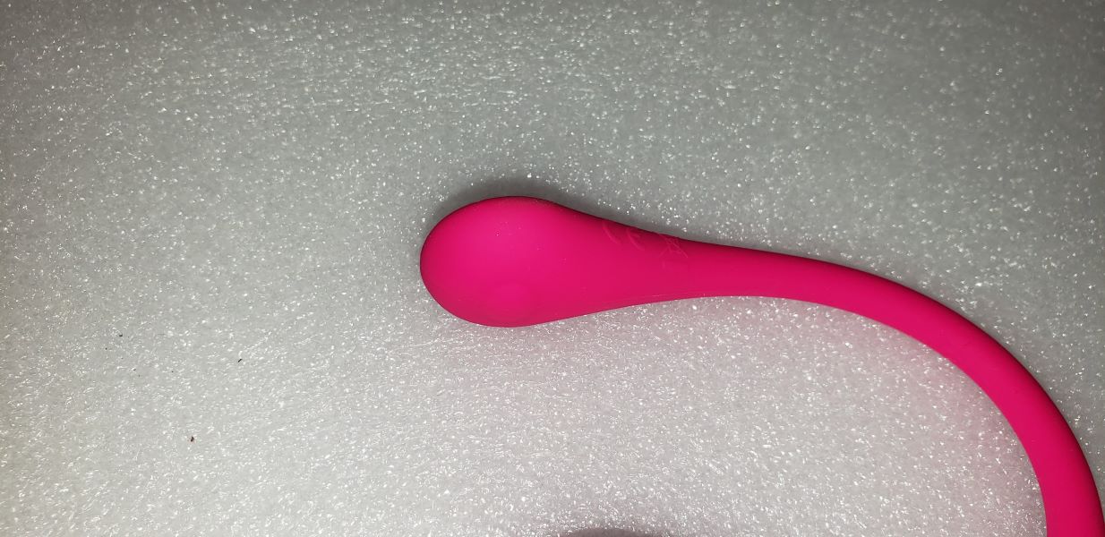 Lovense Lush 3: Sex Toy Review