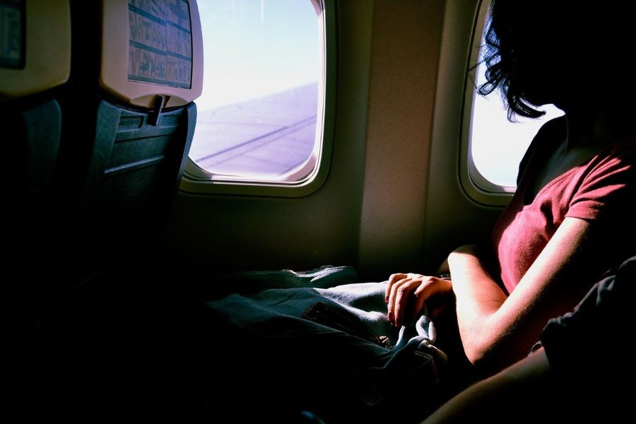 Erotica: Lovers on a Plane