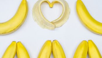 The Rise of Penis Pleasure Devices