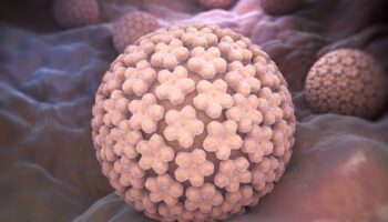 HPV: Separating Fact From Fiction