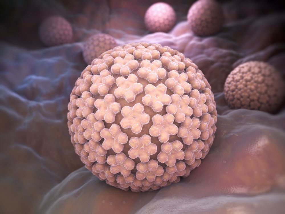 HPV: Separating Fact From Fiction