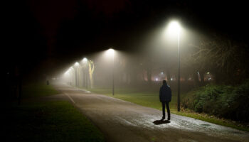 How to Master Late Night Gay Park Cruising