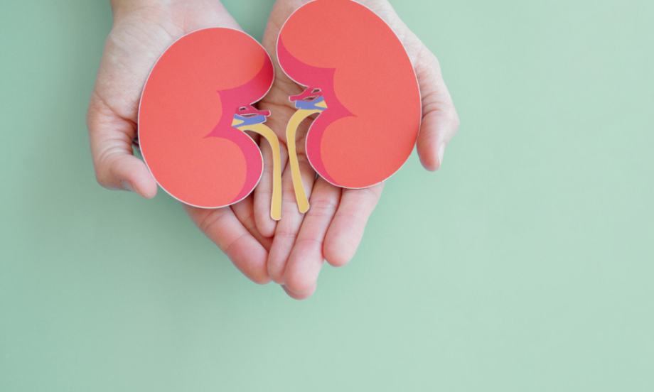 Does Masturbation Affect Your Kidneys?