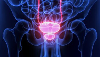 Quiz: How Much Do You Know About Your Prostate Health?