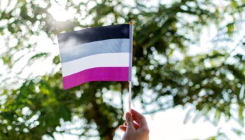 Asexuality: Just How Queer Is It?