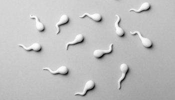 Spit or Swallow: Does Sperm Actually Have Health Benefits?