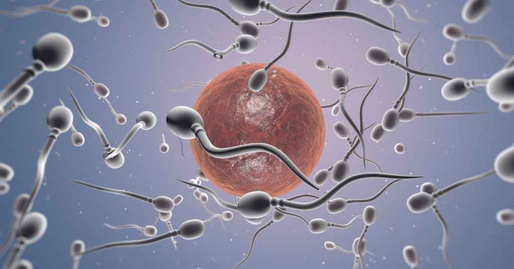 Is ‘Female Sperm’ a Thing? And What Does it Have to do With Squirting?