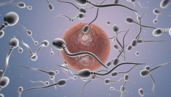 Is ‘Female Sperm’ a Thing? And What Does it Have to do With Squirting?