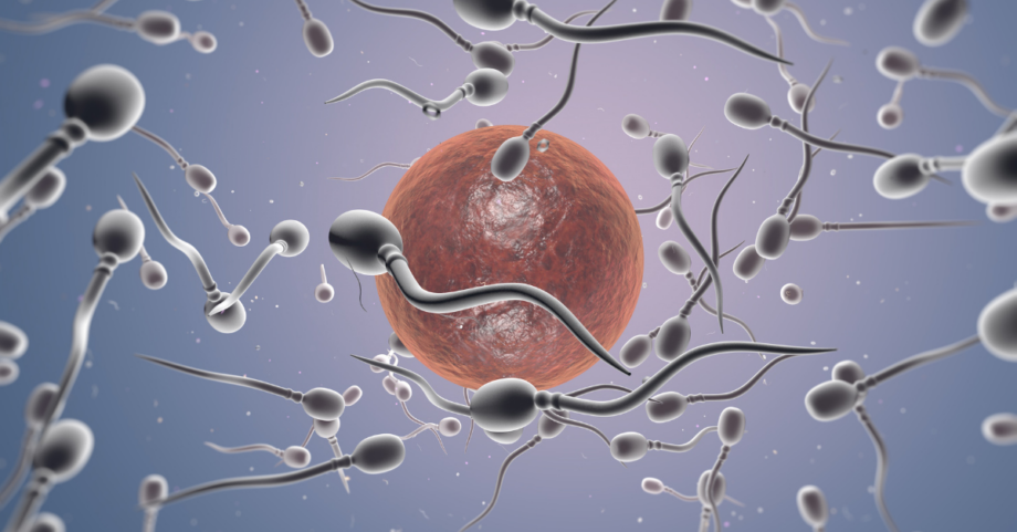 Is ‘Female Sperm’ a Thing? And What Does it Have to do With Squirting?