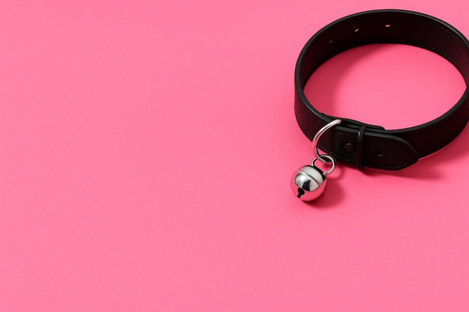 Pet Play 101: A Beginner’s Guide to This Playful Kink